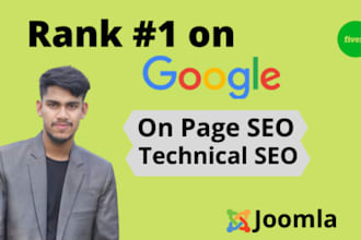 do pro on page and technical SEO of wordpress, joomla