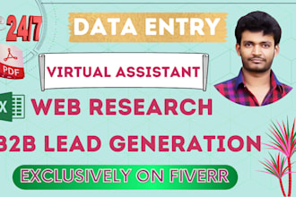 be your virtual assistant for web research and data entry