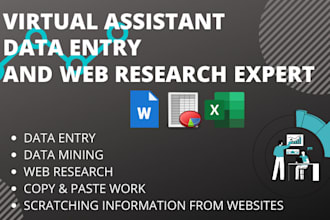 do excel data entry, web research data entry, copy paste work