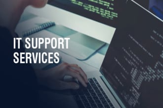 provide remote desktop support
