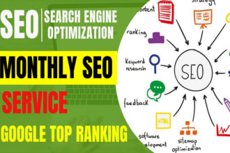 provide complete monthly SEO service for google top ranking