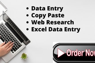 data entry, copy paste and web research