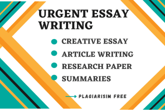 do urgent essay writing, summary, article and story