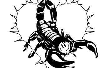 draw simple illustration black and white with my style