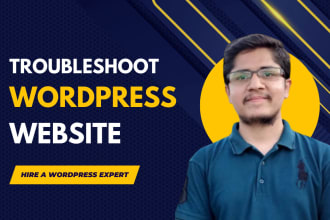 troubleshoot your wordpress website errors and issues
