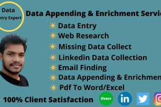 do data enrichment, data entry, and b2b lead generation