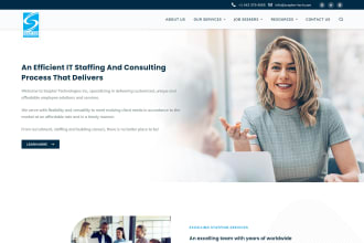 make professional wordpress website to boost your business