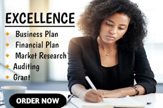 prepare investor ready business plan for nonprofit grants