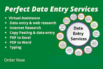 do fastest data entry in one day and internet reserch