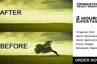 remove unwanted objects text, people from images