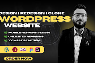 design, duplicate, or build a professional wordpress website