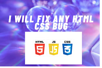 develop web app with HTML CSS and bug fix