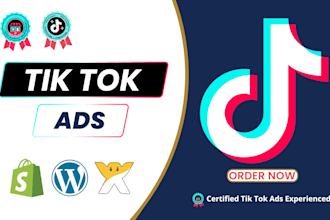 setup tik tok ads campaign for leads and sales