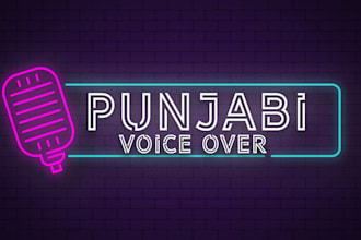 record professional punjabi voice overs