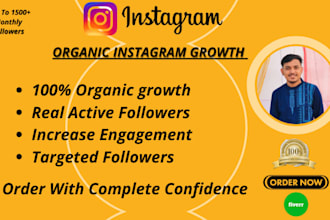 do fast organic instagram growth