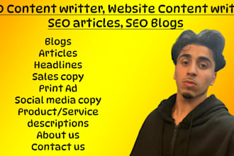 write SEO blog posts and articles, website content for you