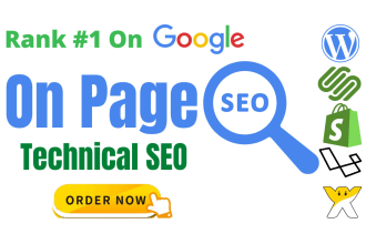 do website onpage SEO and technical optimization service of wordpress site