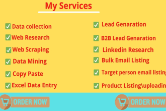 do fastest data entry copy paste data scraper web researcher excel expert