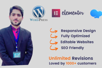 build modern and responsive wordpress website design