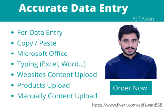 do perfect data entry, typing, and content upload for you
