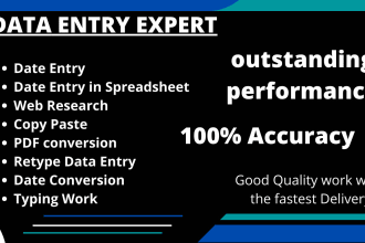 do data entry,pdf conversion,web research,data collection,copypaste, typing work