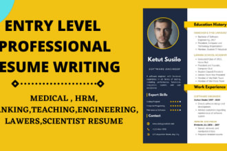 design entry level professional resume or CV