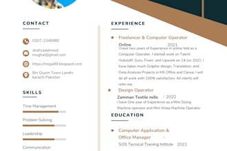 be fast design the resume or CV, professional resume or CV