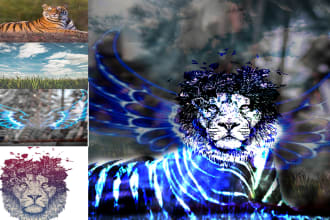 do photo manipulation and composition and photo editing