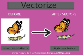 vectorize your logo, convert image to vector ai,png, and all format within 4 h