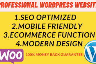 design modern wordpress website within 24 hrs