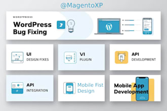 do wordpress bug fixing, UI design, plugin dev API or mobile app dev