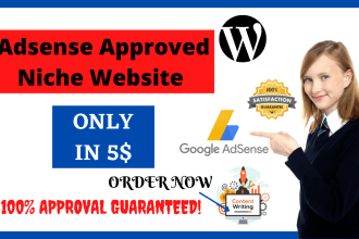 build a full adsense approved niche website for you