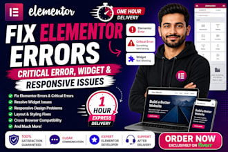 fix elementor error, critical error, widget and responsive issues
