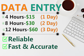 be your 4 hours virtual assistant for data entry copy paste and web scraping