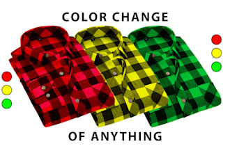 change color of anything professionally