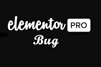 fix elementor bug, issues, errors or wordpress problem