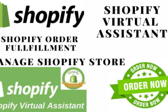 be you shopify ecommerce virtual assistant