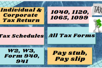 do USA tax returns e filing, 1065, 1040, 1120, 5472, non resident schedule c e