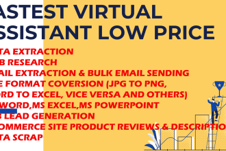 do fastest data entry lowest price virtual assistant create facebook page