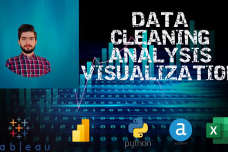 do excel data cleaning, formatting, removing duplicates, and visualizing data