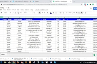 do data entry copy paste and web search