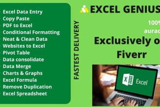 do spreadsheet ,copypaste, pdf conversion, conditional formatting, pivot table