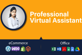 be your virtual assistant for wordpress data entry