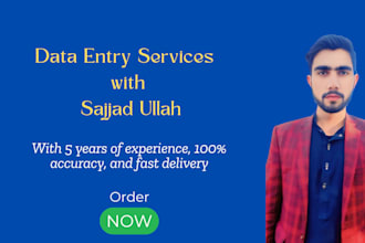 provide expert data entry services, excel data entry, virtual assistant