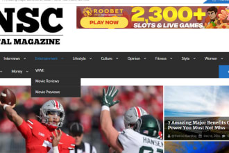 publish your articles on theinscribermagazine