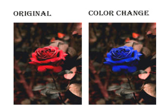 change color of anything using photoshop