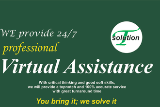 do professional virtual assistant
