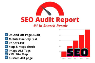 do website seo  audit report with complete action plan