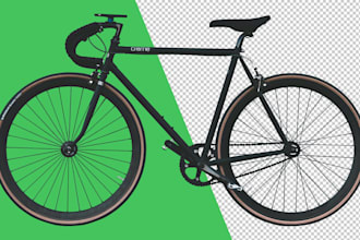 do image background remove and replace professionally