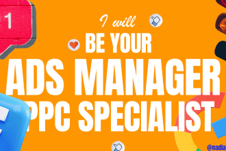 be your google ads manager or facebook ads manager